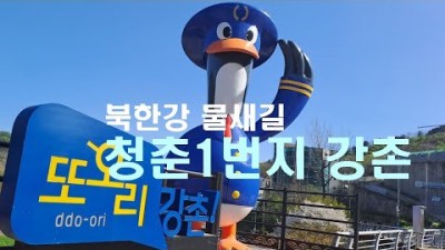 강촌 북한강 물새길 봄내길 둘레길 트래킹 강촌유원지 트레킹