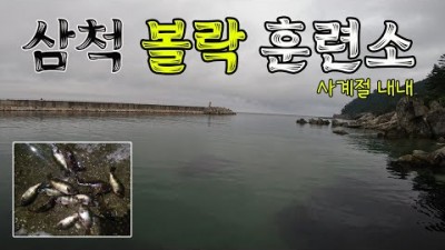 강원도 삼척 대진항 볼락 바다낚시 포인트 추천