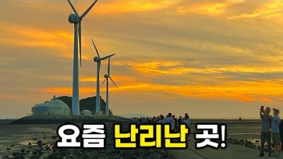 서울근교 당일치기 여행지 탄도항 바다향기수목원 안산대부광산퇴적암층 대부도여행 하루 두번 열리는 바닷길 드라마촬영지 나들이 가볼만한곳 추천