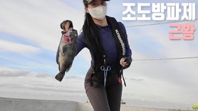 부산 조도방파제 생미끼 원투낚시, 우럭 바다낚시, 부산 영도 조도방파제 바다낚시 조황 정보