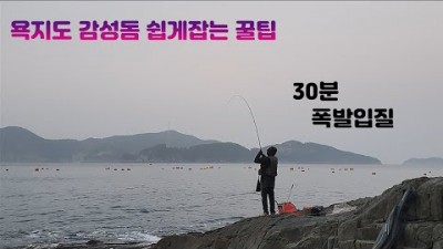 통영 욕지도 감성돔낚시, 도보권 감성돔낚시 포인트, 감성돔 쉽게 잡는법 욕지도 감성돔 바다낚시 포인트, 욕지도 만두네