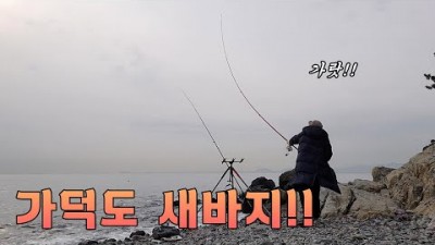 부산 가덕도 새바지항 도다리 원투낚시 캠낚포인트 주차장 화장실 발판 좋은 겨울철 원투낚시 조황 정보