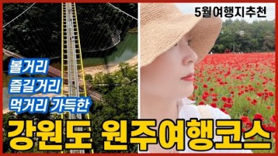 강원도 원주 가볼만한곳 용수골꽃양귀비축제 원주미로예술시장 소금산출렁다리 원주 먹거리 볼거리 맛집 여행 추천