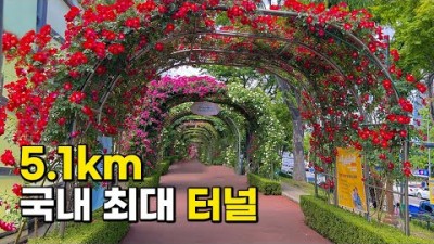 서울 장미축제 가볼만한곳 서울여행 5월 여행지 추천코스