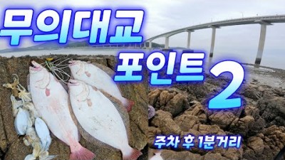 무의대교 잠진도 선착장 광어 쭈꾸미 갑오징어 루어낚시 포인트 및 조황정보