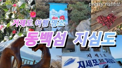 거제도 여행 명소 동백꽃 지심도 힐링 여행지 가볼만한곳 추천