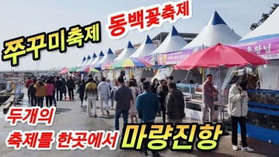 충남 서천 마량진항 동백꽃축제 쭈꾸미축제 당일치기 봄꽃축제 여행 추천코스 가볼만한곳