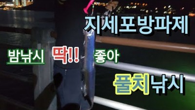 거제도 지세포방파제 풀치낚시 전갱이낚시 포인트 발판 편한 남해안 갈치낚시 채비법 및 조황정보