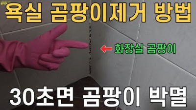 욕실 곰팡이 제거방법, 화장실 실리콘 곰팡이 제거 방법, 30초 곰팡이 제거 방법 소개