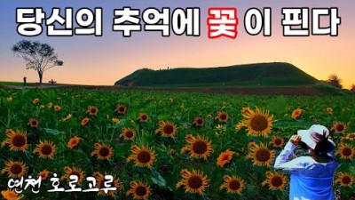 연천 호로고루 해바라기축제 서울근교 가을 감성여행지 가볼만한곳 추천