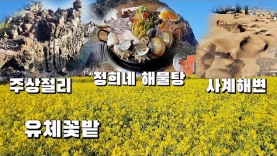 제주도 여행 맛집 가볼만한곳, 사계해변, 유채꽃밭, 대포 주상절리, 노블피아 호텔, 정희네 해물탕, 제주 서귀포 봄여행 갈만한곳