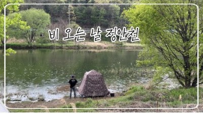 공주 정안천 붕어낚시 우중낚시 민물낚시 조과 조황 채비정보