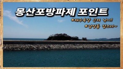 몽산포 방파제 바다낚시 포인트 추천 충남 태안 해수욕장 및 차박캠핑 해루질도 가능한 서해안 낚시포인트 가볼만한곳