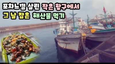 속초 설악항 활어회센터 '경상도아지매 12호' 새벽에 직접 잡아 바로 파는 파도소리 들리는 포장마차 느낌의 선주들의 횟집 맛집여행 가볼만한곳