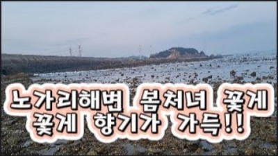 인천 영흥도 해루질 가볼만한곳 수도권 노가리해변 낙지 꽃게 해루질포인트 갈만한곳