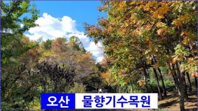 오산 물향기수목원 서울근교 단풍명소 지하철로 갈 수 있는 수도권 단풍여행 가볼만한곳 추천
