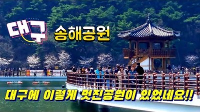 대구 달성군 벚꽃명소 대구 송해공원 벚꽃축제 옥연지 벚꽃길 대구달성공원 벚꽃구경 가볼만한곳