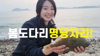 태안 안면도 백사장항 도다리원투낚시, 서해 3짜 도다리, 화장실 있고 발판좋은 가족낚시 바다낚시 가능한곳