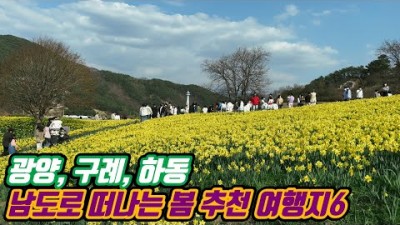 봄꽃 봄축제 추천 여행지, 광양 매화마을 매화축제, 구례 산수유마을 산수유축제, 구례 쌍산재, 구례 지리산 치즈랜드, 하동 십리벚꽃길, 구례 섬진강 벚꽃길, 남도여행 가볼만한곳