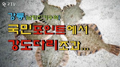 강릉 남항진해변 강도다리 원투낚시 포인트 조황정보 채비정보