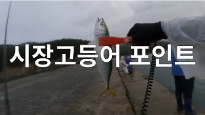 보령 원산도 고등어 삼치 학꽁치 메탈루어낚시 오봉산 선착장 바다낚시 포인트 조황 및 채비 정보