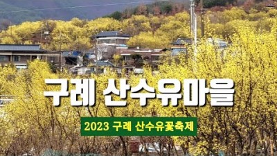 전남 구례 산수유마을 2023 구례산수유 꽃축제 봄꽃여행, 구례 여행 가볼만한곳