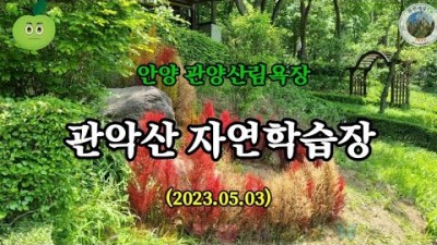 서울근교 수도권 아이들과 갈만한곳 관악산 자연학습장 관양산림욕장 꽃구경 가족나들이 둘레길 트래킹 가볼만한곳