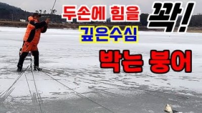 충남 홍성 장곡지 얼음낚시 붕어낚시, 수심 깊은 힘좋은 붕어 얼음낚시 포인트