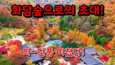 화담숲 가을단풍축제 서울근교 최고 절정의 단풍여행 가볼만한곳