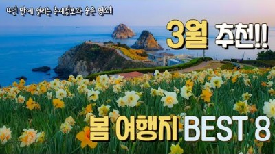 봄축제 벚꽃명소 가볼만한곳. 부산 오륙도 수선화. 광양 매화축제. 구례 산수유축제. 진해군항제. 봄여행 국내여행 갈만한곳