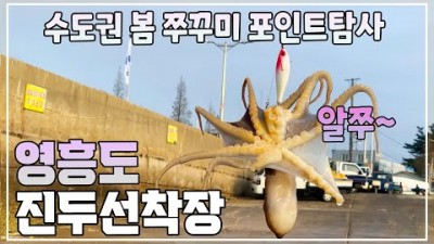 수도권 쭈꾸미낚시 도보포인트 인천 영흥도 알쭈꾸미 워킹 루어낚시 포인트