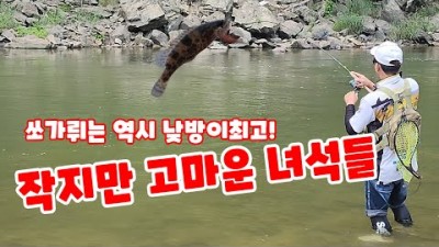 강원도 영월 주천강 쏘가리낚시 포인트 및 쏘가리낚시 하는 방법