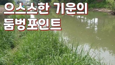 수도권 붕어낚시 민물낚시 배스낚시 경기도 화성 무료노지 붕어낚시터