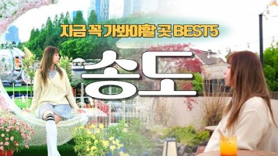 인천 송도 꼭 가봐야 할 곳 BEST5, C타워전망대, 아키라커피, 송도 센트럴파크 문보트, 인더쥬 실내동물원, 인천 당일치기 여행, 송도 가볼만한곳 추천