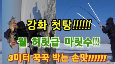 강화 교동도 고구지 얼음낚시 월척 붕어 마릿수 붕어낚시 조과 및 조황