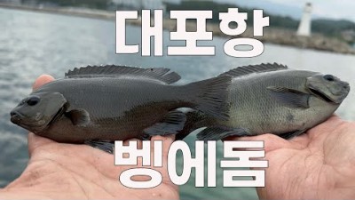 속초 대포항 벵에돔 낚시포인트 발판 편한 바다낚시 포인트 추천