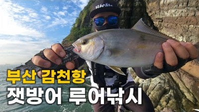 부산 감천항 잿방어 루어낚시 두도 갯바위 쇼어지깅 방어낚시 포인트 추천