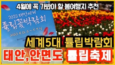 태안튤립축제 태안세계튤립꽃박람회 코리아플라워파크 안면도 가볼만한곳 가족나들이 커플데이트 반려동물동반여행 안면도 축제 여행 갈만한곳