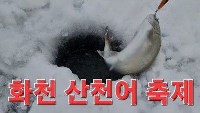 화천 산천어축제, 산천어 낚시채비, 산천어 메탈채비, 산천어 잘 잡는 방법